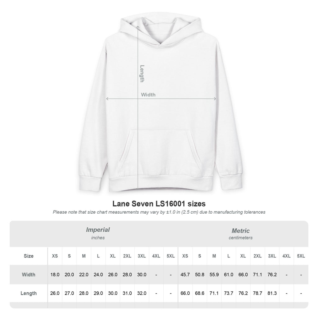 Lightning Star Hoodie — Wild Hearts Co. Surf Graphic Pullover