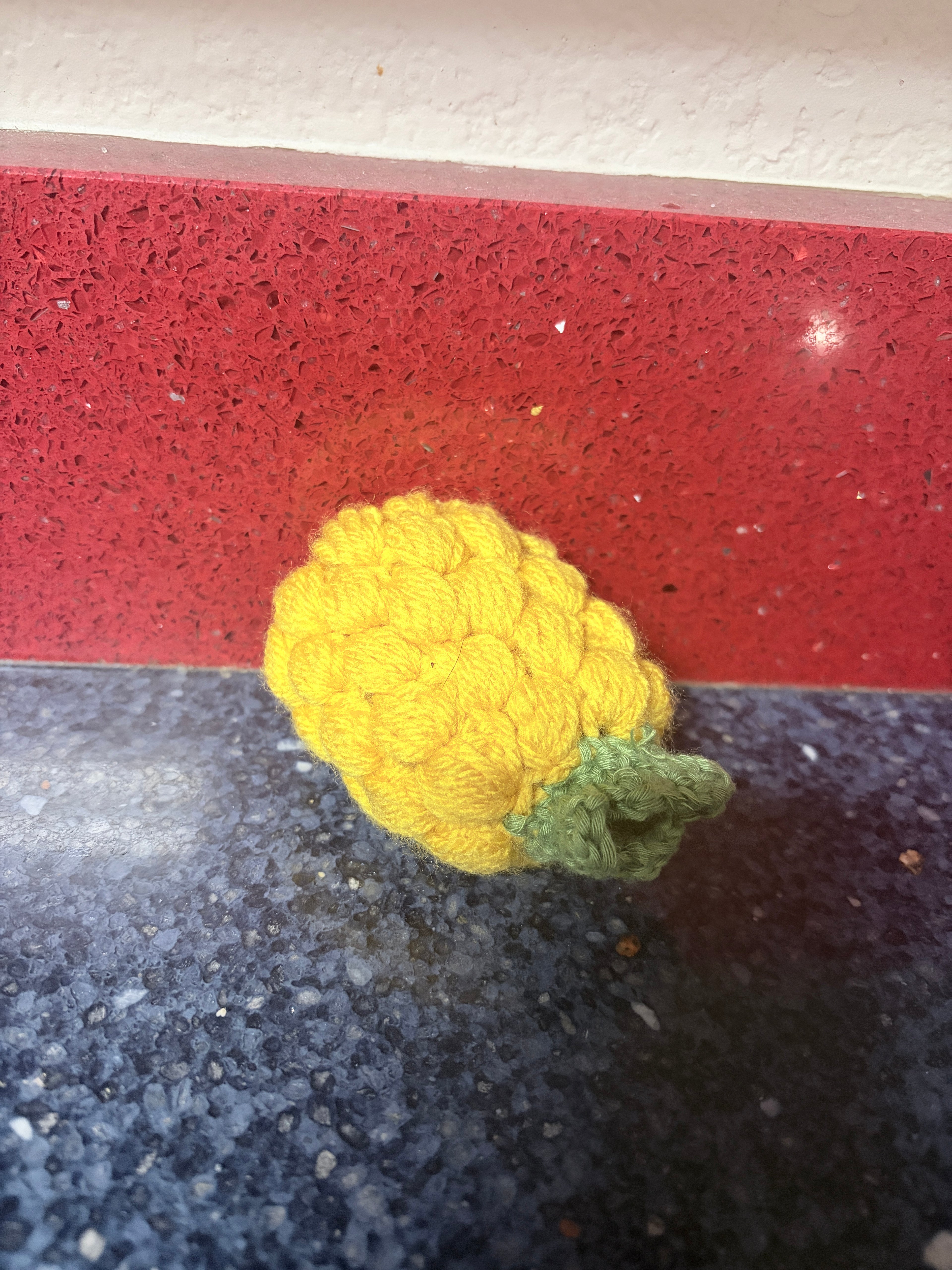 Crochet Pineapple Pouch